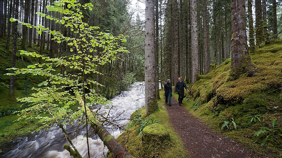 Мъж и жена вървят край бързеи в гората