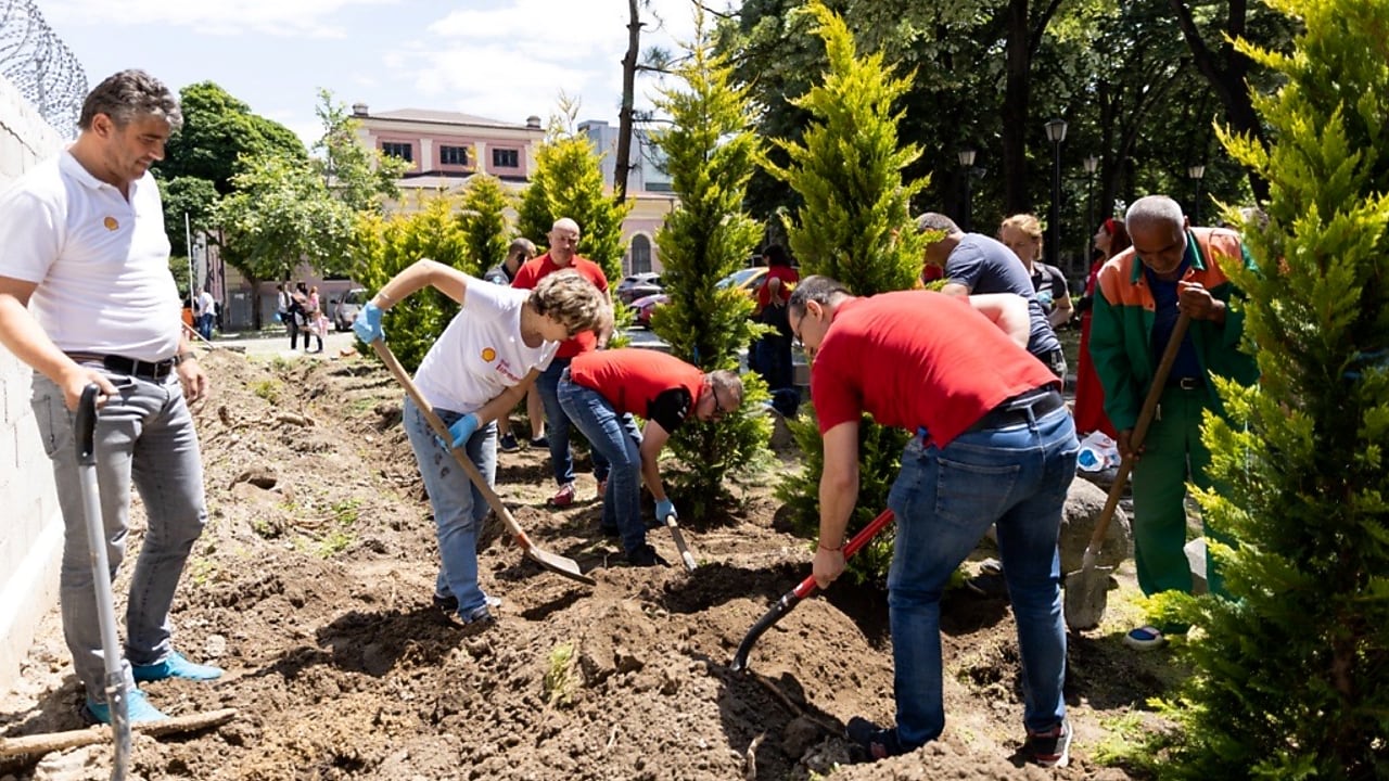 На снимката: служители от офиса и търговската мрежа на Shell България в процес на залесяване.