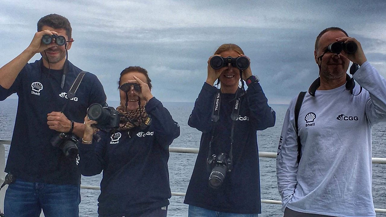 Наблюдател за морски бозайници