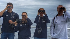 Наблюдател за морски бозайници