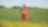 an employee stands in a field