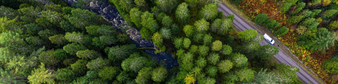 Категории на таксуване според въглеродната емисия