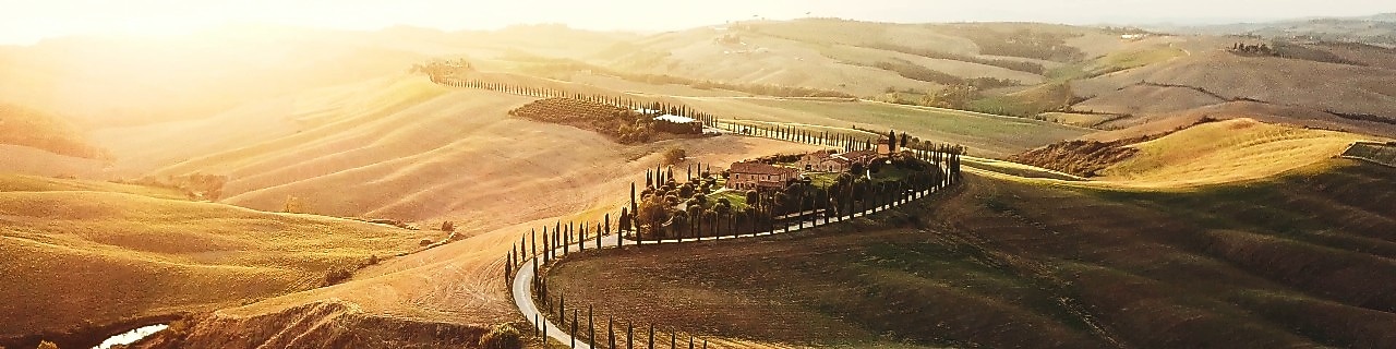 aerial view of a road