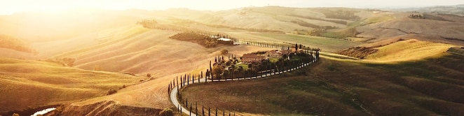 aerial view of a road