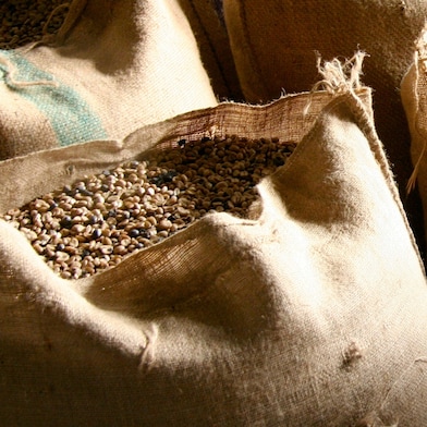 wheat bag
