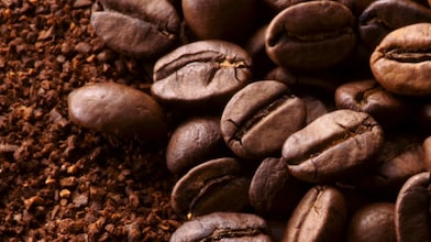 Coffee beans